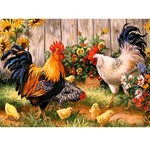 MXJSUA DIY 5d Diamond Pintura por número Kit,DIY Pintura al oleo por numeros Full Taladro Gallo gallina Pollitos Bordado de Punto de Cruz Artes Manualidades Lienzo Pared decoración 35x45cm