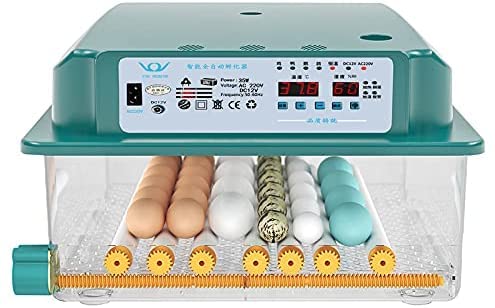 New Vida Máquina de incubación, Incubadora, Incubadora Automática de Huevos, Incubadora de Pollos, Incubadora Casera, Controlador de Incubación de Huevos, Incubadora para 36 Huevos