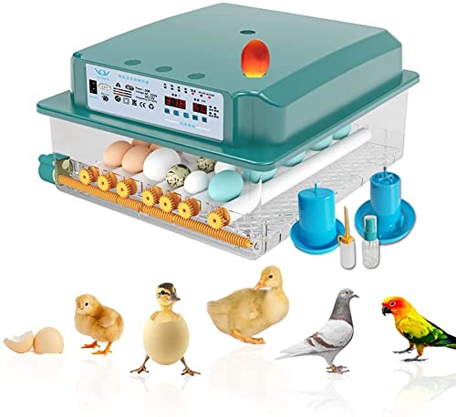 New Vida Máquina de incubación, Incubadora, Incubadora Automática de Huevos, Incubadora de Pollos, Incubadora Casera, Controlador de Incubación de Huevos, Incubadora para 36 Huevos