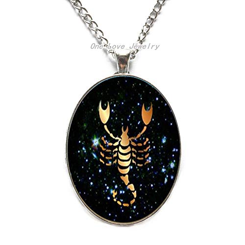 Ni36uo0qitian0ozaap Escorpio - Colgante de cristal negro del zodiaco de Escorpio con encanto de Escorpio, regalo de cumpleaños, astrología, TAP223