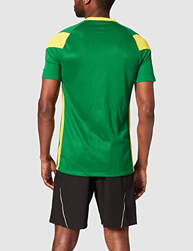 NIKE, Park Derby III, Jersey De Manga Corta, Pine Green/Tour Amarillo/Tour Amarillo/Blanco, S, Hombre