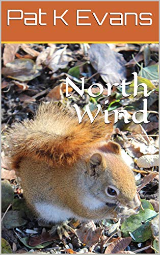 North Wind (English Edition)
