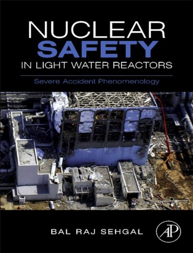 Nuclear Safety in Light Water Reactors: Severe Accident Phenomenology (English Edition)