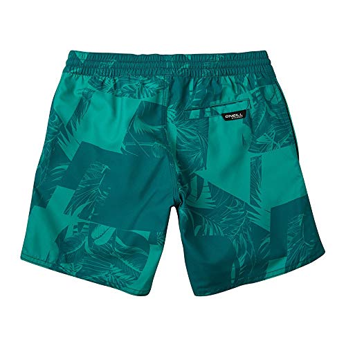 O'Neill Pb Cali Floral Shorts, Bañador para Niños, Verde (6900 Green AOP), 164