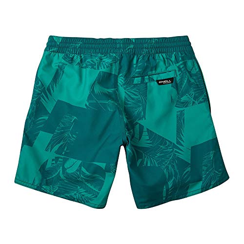 O'Neill Pb Cali Floral Shorts, Bañador para Niños, Verde (6900 Green AOP), 164