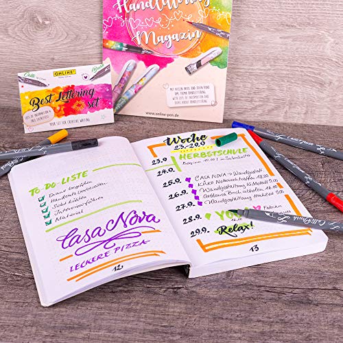 Online - Bullet Journal | Libreta de Puntos Tapa Blanda con Elástico - Diseño Spotlights Rose