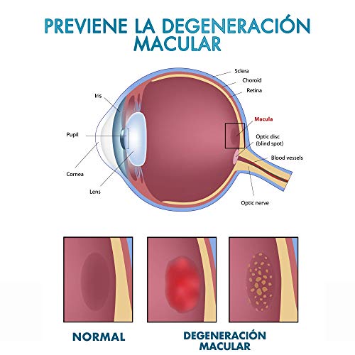 Optimizante y protector de la visión | Con luteína y mirtilo | Fortalece el tejido ocular y la retina | Mejora la visión | Tratamiento para la salud natural de los ojos | 60 Cápsulas