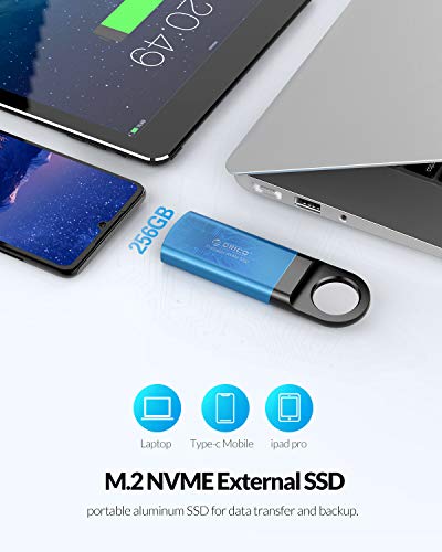 ORICO NVME SSD Portátil Externo 256GB Velocidad de Lectura de hasta 940MB/s, Mini Disco Duro portátil Extreme SSD con 3D NAND USB 3.1 Gen 2 Tipo C-GV100