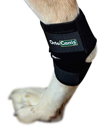 Ortocanis - Soporte de Tarso para Perros - para artrosis en Tarso, lesión de ligamentos o inflamaciones articulares tendinosas - Talla M