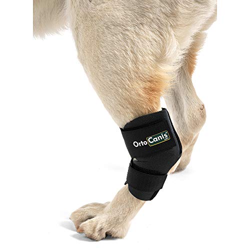 Ortocanis - Soporte de Tarso para Perros - para artrosis en Tarso, lesión de ligamentos o inflamaciones articulares tendinosas - Talla M