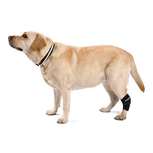 Ortocanis - Soporte de Tarso para Perros - para artrosis en Tarso, lesión de ligamentos o inflamaciones articulares tendinosas - Talla M