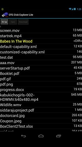 OTG Disk Explorer Lite