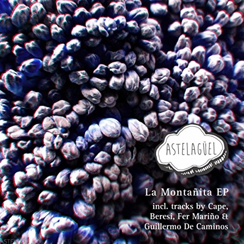 Ovnis de Montana (Palopibe Tool)