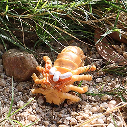 perfeclan Ciclo de Vida de la tradición del escorpión de los Insectos-4 Piezas de la de los Insectos Muestra los Huevos de la Vida del escorpión del bebé