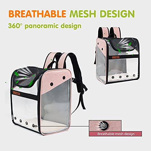 PETCUTE Mochila para Gatos,Plegable Mochila Transportín Gato,Transpirable Bolsa de Transporte para Mascotas con Correa de Seguridad Interior,Mochila Portador para Mascotas Perro Gatos para Viajar