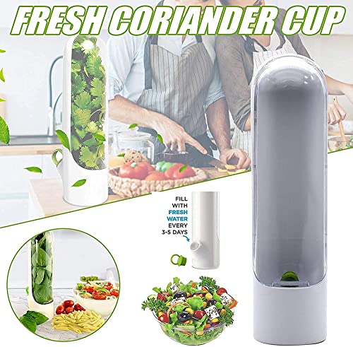 Premium Vanilla Fresh Keeping Cup, Keeps Greens Fresh for 1-2 Weeks, Lasting Refrigerator Herb Keeper, Vegetable Preservation Bottle, Reusable Veggies Containers with Lid (1pcs)