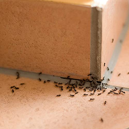 Protect Home Antihormigas cebo en gel contra hormigas para interiores, rápida acción y altamente atractivo, 4g (Pack de 3), Azul