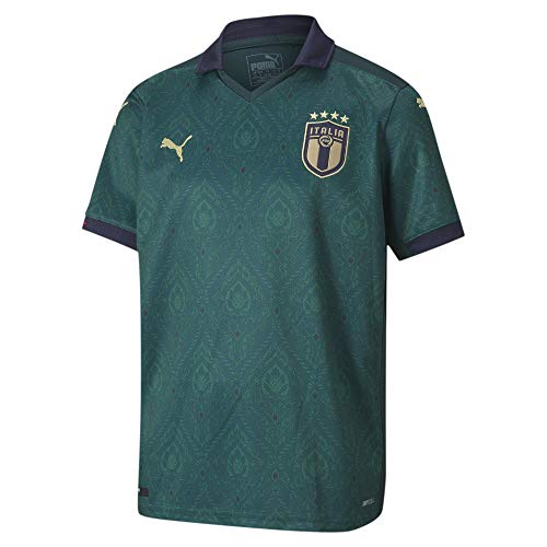 PUMA FIGC Niños, Ponderosa Pine-Peacoat, 128