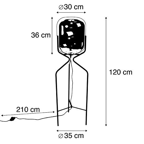 QAZQA Diseño Lámpara de pie negra cristal ahumado bombilla-WiFi-A60 - BLISS Acero/Alargada Adecuado para LED Max. 1 x 7 Watt