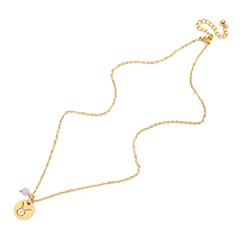 QIN Trendy Star Zodiac Sign 12 Collares con Colgante de constelación para Mujeres Hombres Capricornio Leo Escorpio