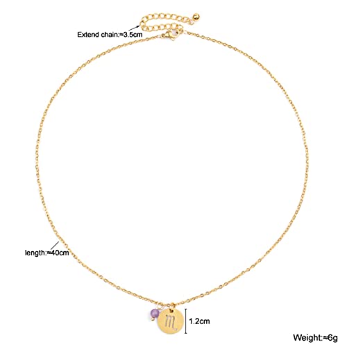 QIN Trendy Star Zodiac Sign 12 Collares con Colgante de constelación para Mujeres Hombres Capricornio Leo Escorpio