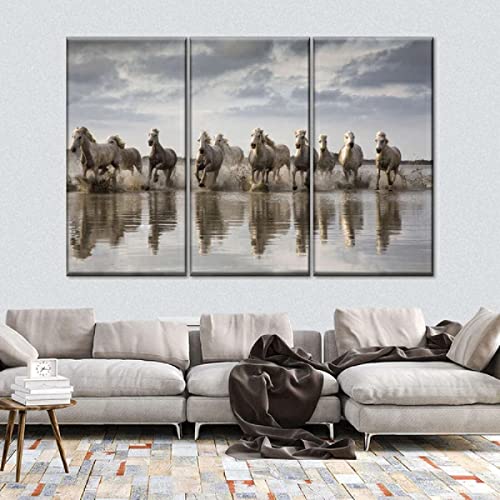 QOP Mural Moderno 3 Piezas Caballos De Camarga Blanca Art Imagen para ​Decoración del Hogar 3 Piezas Pinturas Moderna Enmarcado Arte Navidad Obsequio 30Cm*50Cm*3