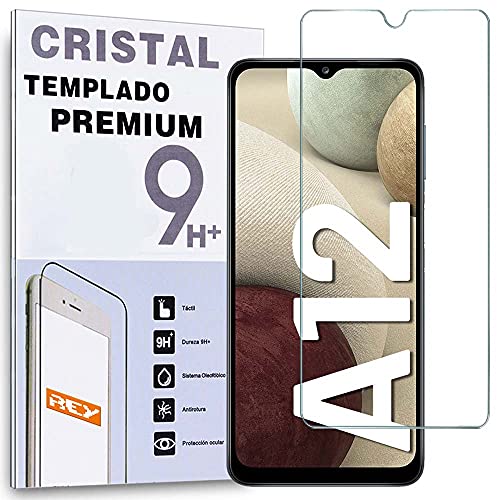 REY Protector de Pantalla para Samsung Galaxy A12 - Galaxy M12, Cristal Vidrio Templado Premium