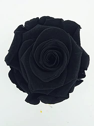 Rosa eterna Negra. Cúpula Cristal. Luz LED. Rosa eterna Negra. Altura 25 cm. Rosa Negra eterna preservada. Hecho en España.