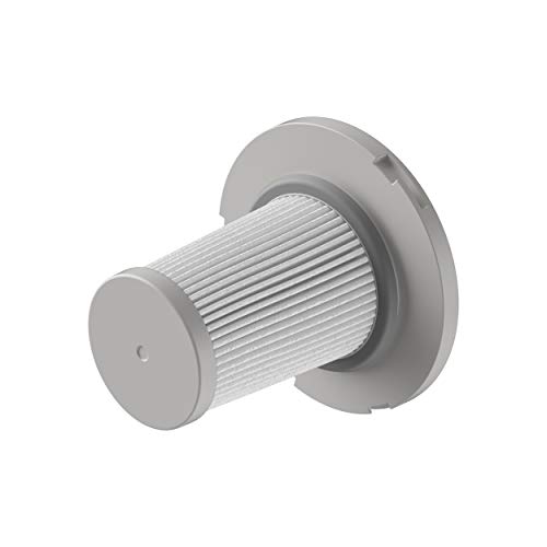 Rowenta Flex 8.60 Set 2 Filtro EPA Antes del Motor X-Force 8.50/8.60/X-Pert 6.60, Blanco/Gris