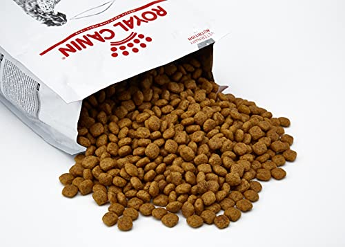 ROYAL CANIN Alimento para Perros Hepatic HF16-1.5 kg