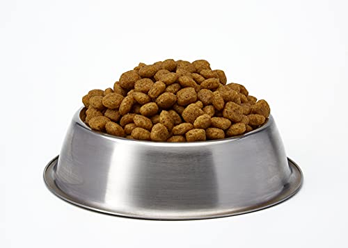 ROYAL CANIN Alimento para Perros Hepatic HF16-1.5 kg