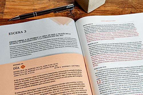 RVR 1960 Biblia Cronológica, Día a Día, Marrón Símil Piel: Rvr 1960 Biblia Cronológica, Día a Día, Marrón Símil Piel
