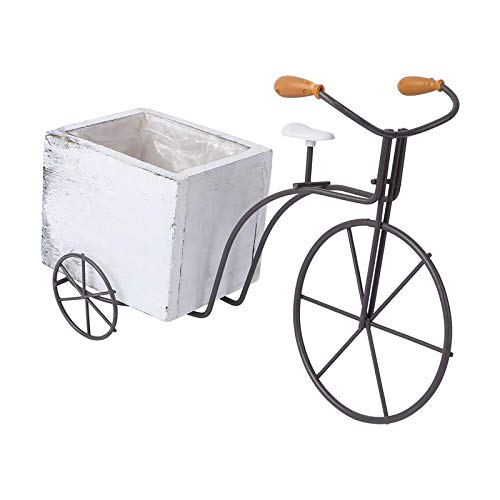 Samine Macetero rústico para bicicleta, para plantas, jardín, exteriores, color blanco, grande, blanco
