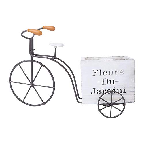 Samine Macetero rústico para bicicleta, para plantas, jardín, exteriores, color blanco, grande, blanco
