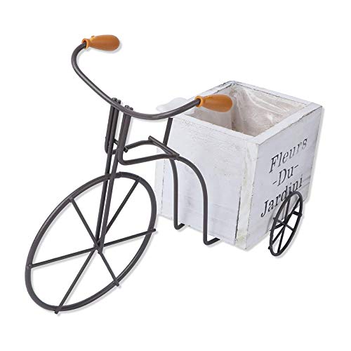 Samine Macetero rústico para bicicleta, para plantas, jardín, exteriores, color blanco, grande, blanco