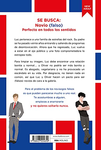 Se busca novio (Ficción Young Adult)