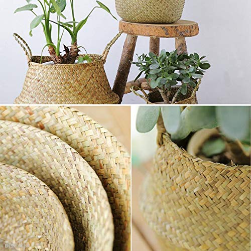 Seagrass Cesta de cesteria de Mimbre Cesta Almacenamiento de Flor Cesta 32x 28cm Plegable para el Vientre Maceta , Decoracion para el Hogar Almacenar Juguetes, Ropa, Fruta o Plantas(1pcs,M)