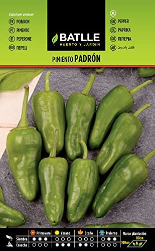 Semillas Hortícolas - Pimiento Padrón - Batlle