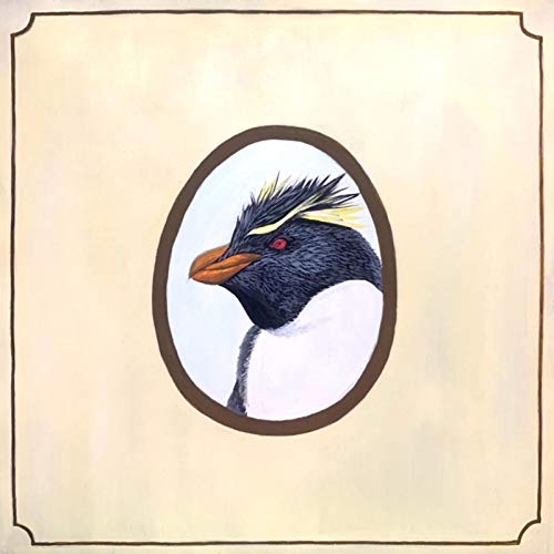 Southern Rockhopper