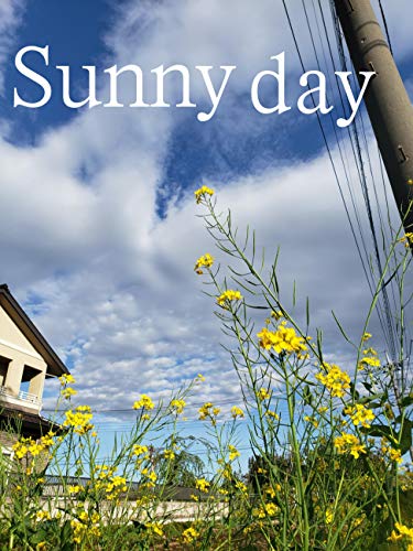 Sunny day (English Edition)