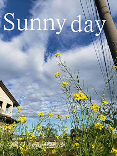Sunny day (English Edition)