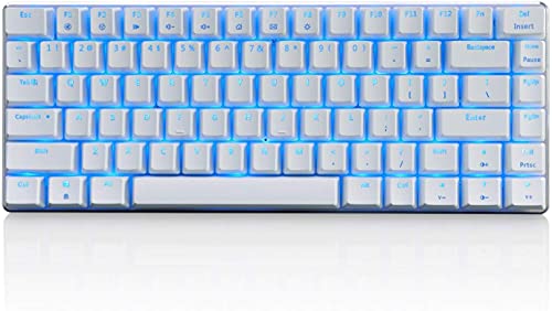 Teclado mecánico AK33 de Lexon tech, teclado para juegos con cable USB con retroiluminación LED azul, teclado compactos de 82 teclas, interruptores azul , mecanógrafos y jugadores de juegos (blanco)