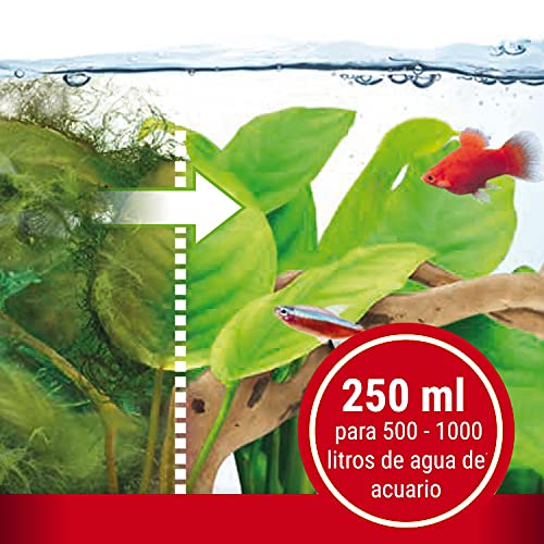 Tetra AlguMin 250 ml, Combate eficazmente todo tipo de algas