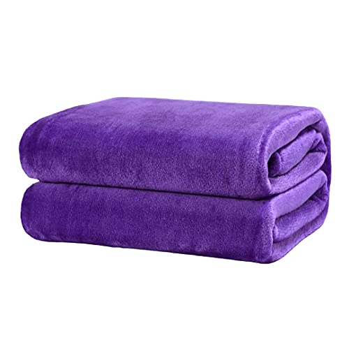 TIENDA EURASIA® Mantas para Sofá de Terciopelo - Material 100% Microfibra - Tacto Suave Sedalina (Morado, 160 X 220 CM)