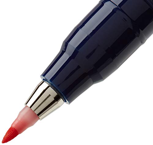 Tombow WS-BH-10P - Rotulador (Fino/Medio, 10 Colores, Negro, Azul, Verde, Gris, Naranja, Rosa, Amarillo, Bullet tip & Brush tip, Multicolor, Alrededor)