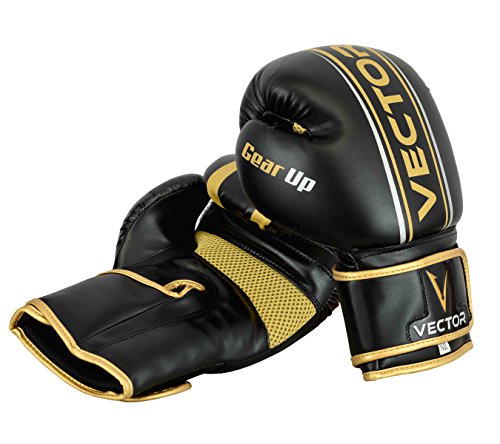 Vector Deportes Guantes de Boxeo para Hombres Mujeres, Maya Ocultar de Piel Hecho a Mano Estilo Pro para Kickboxing Sparring Saco Entrenamiento – Color Oro Rosa Verde Rojo – Talla 8 10 12 14 16 oz