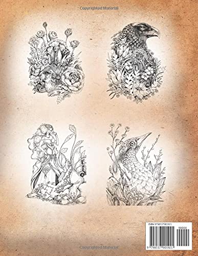 Vintage Classic Coloring pages 1-2: Adult coloring book (Collection, Stress Relieving Designs, People, Animals, Flowers, Fairies and More)