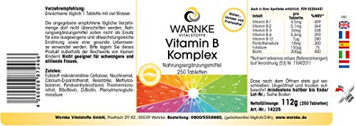 Vitamina B Complex – Vegetariano – Con todas las vitaminas B esenciales – 250 cápsulas