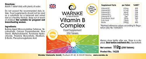 Vitamina B Complex – Vegetariano – Con todas las vitaminas B esenciales – 250 cápsulas