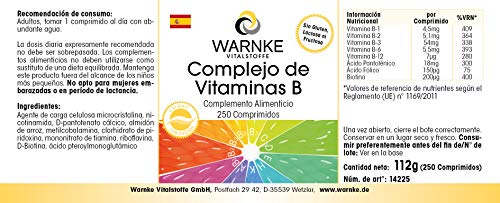 Vitamina B Complex – Vegetariano – Con todas las vitaminas B esenciales – 250 cápsulas